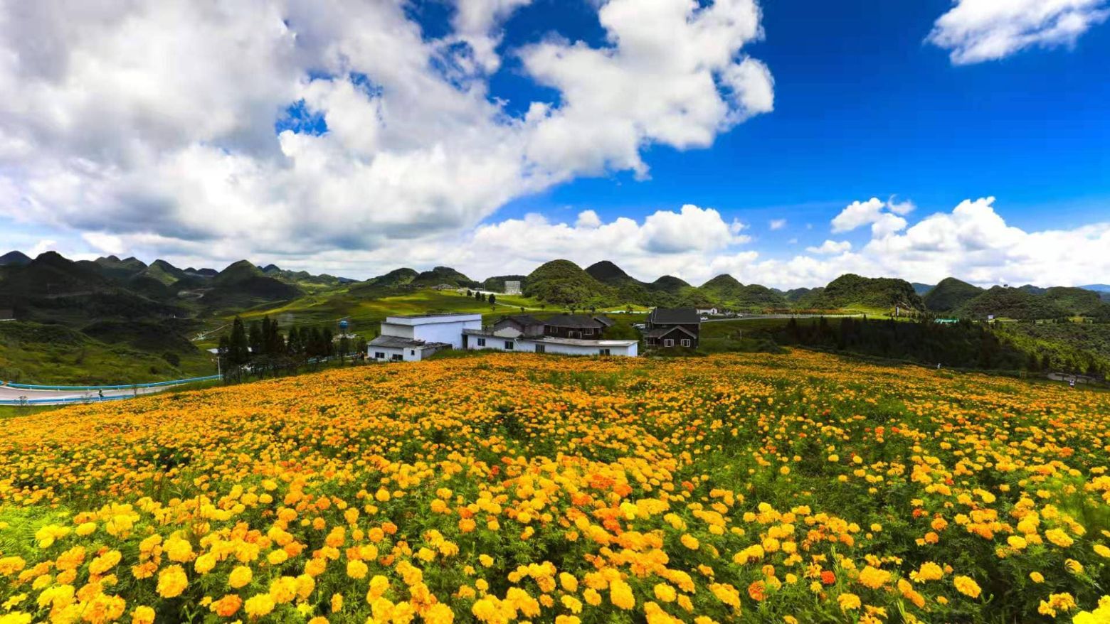 《野鸡坪》孙大方 摄